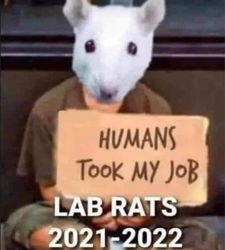 FB_IMG_1678301656003