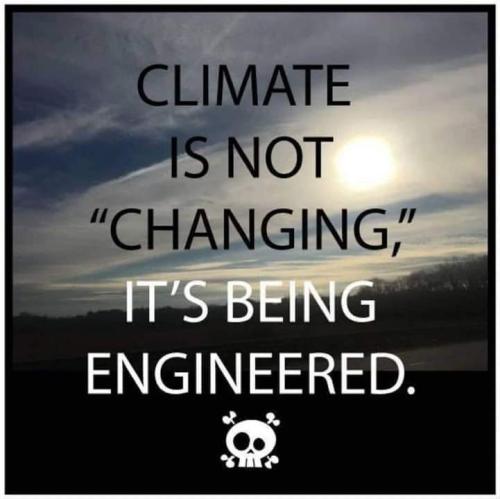 FB_IMG_1677863496954