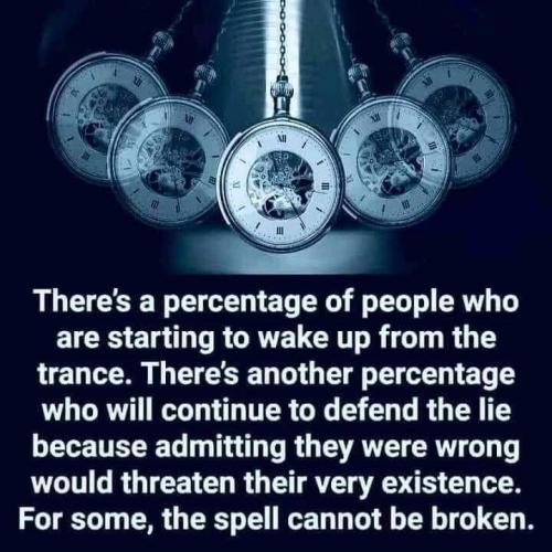 FB_IMG_1678593553696