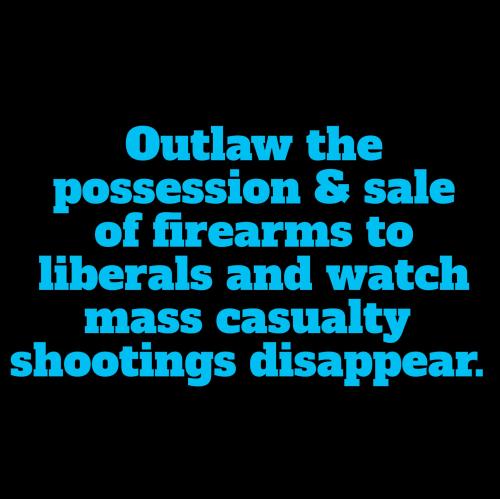 Outlaw the possession and sale of firearms to liberals