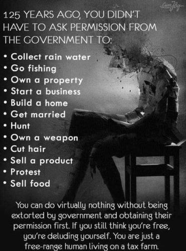 336537453_1330047477553322_2321977631839713307_n