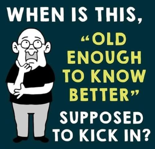 336772849_913897893255673_6423003229163565558_n