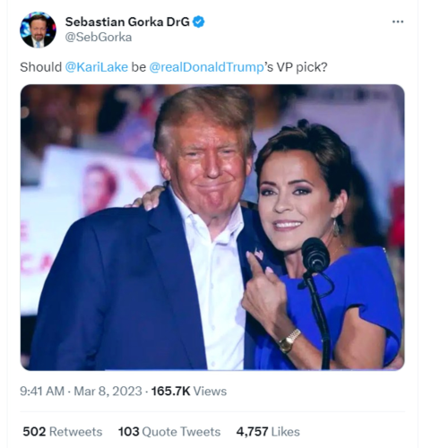 Should Kari Lake be Trump's VP pick