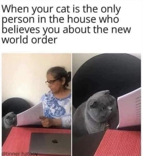 photo_2023-03-21_22-45-14