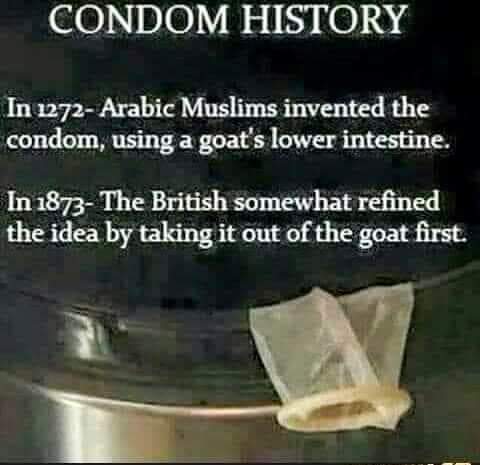 FB_IMG_1678468399741