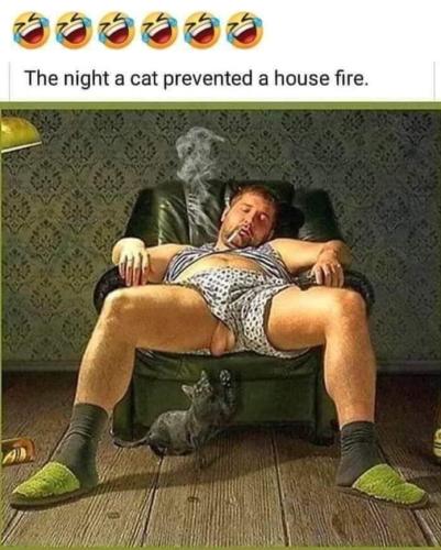 FB_IMG_1679499046622