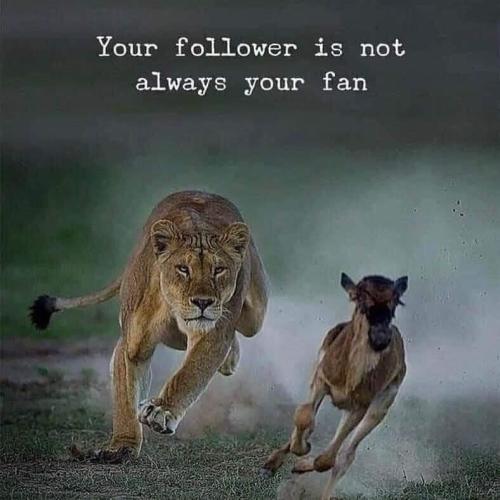 9aff12f5-8766-448e-8a03-0be591a1a694