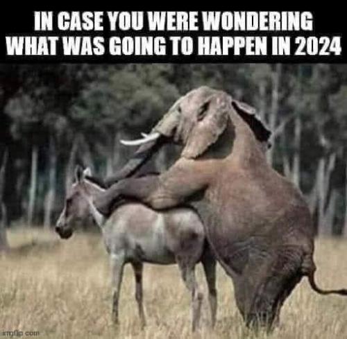 FB_IMG_1677955331262