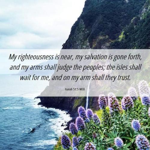 FB_IMG_1678116225408