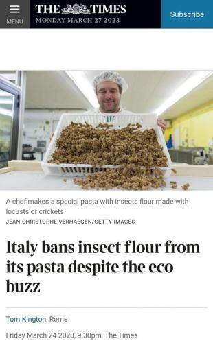 insect flour