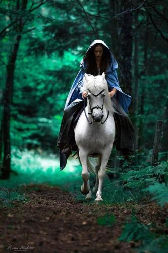 337131128_621711539969835_1247050547168541010_n