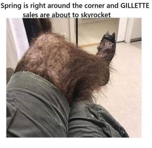 spring is right around the corner