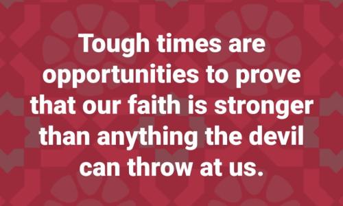 ff667a1e-c0aa-454a-b9a2-25b9a4e0aa04