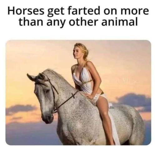 FB_IMG_1677692443561