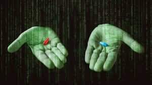 FB_IMG_1679522262653