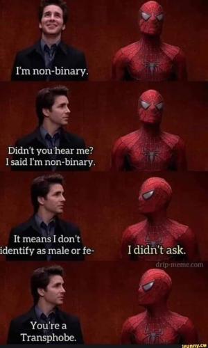 FB_IMG_1679576173678