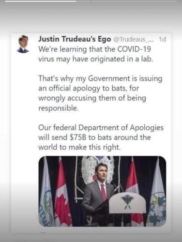 department of apologies
