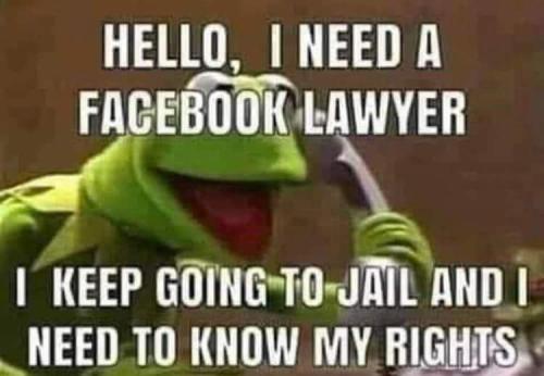 FB_IMG_1679307157586