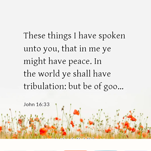 dailybible_20230323-100007_John_16-33