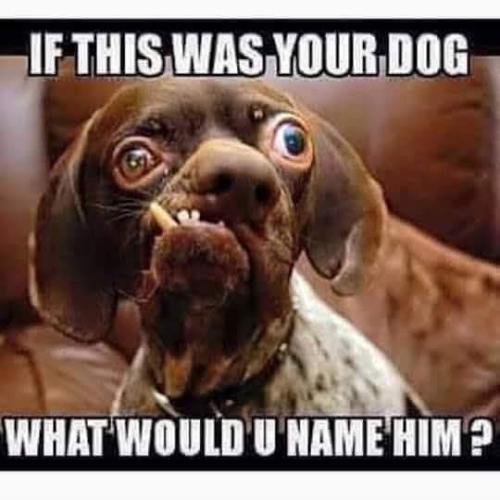 FB_IMG_1680199359991