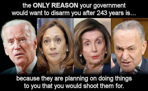 the ONLY REASON your government would want to disarm you after 243 years is