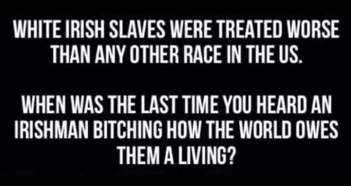 FB_IMG_1679939059449