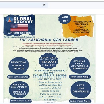 California - Zoom - March 22, 2023 - California Chapter of Global Walkout Launch Event