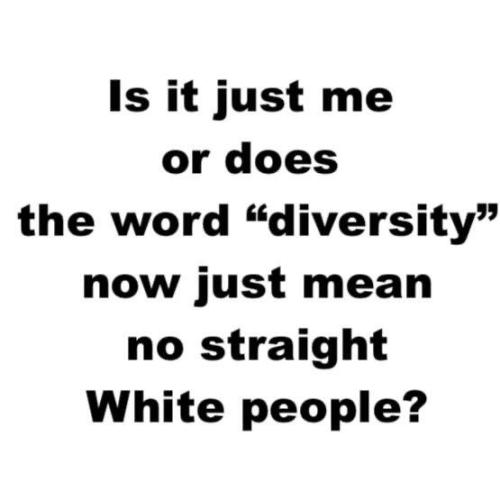 diversity me