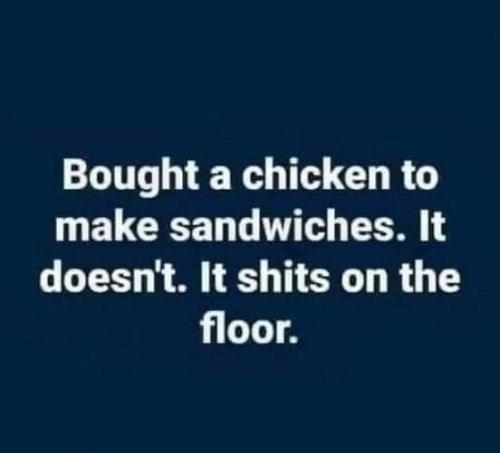 FB_IMG_1678987506535