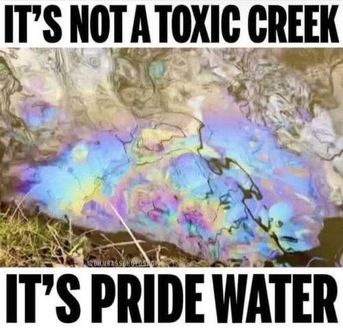 FB_IMG_1678050177036