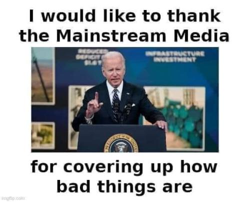 MSM 1
