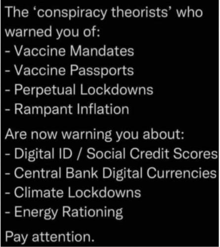 FB_IMG_1678429699262