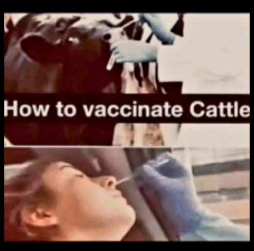 Screenshot_20230225_204049_Rumble