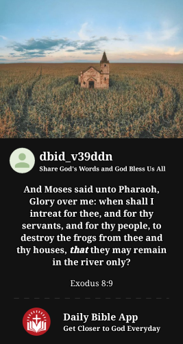 2023-03-091678426190738