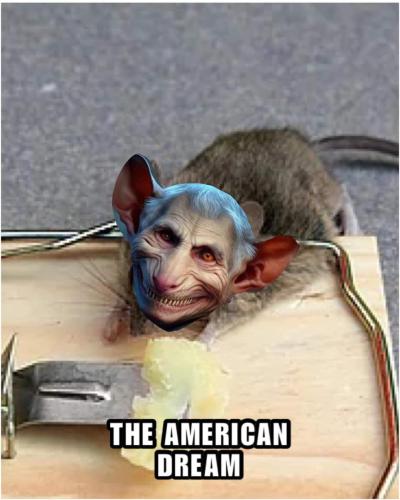 FB_IMG_1679283118444