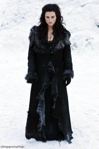 44c2f92c5888c646a822e37e3d8c5f94