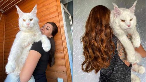 FB_IMG_1678850655994