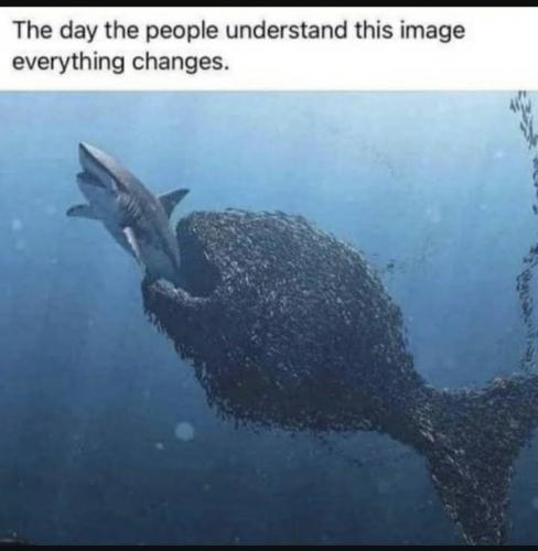 Screenshot_20230323_190523_YouTube