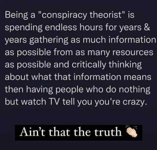 being a conspiracy theorist