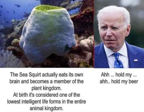 FB_IMG_1677852253645