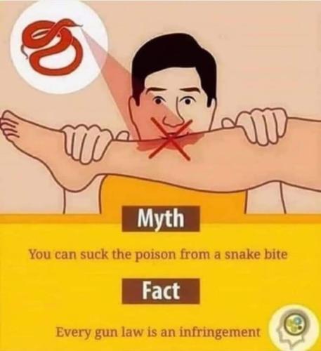 FB_IMG_1680055193531