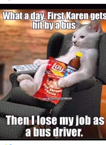 FB_IMG_1679747574792