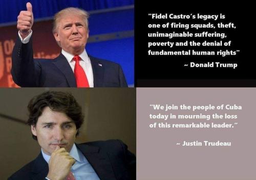 what a comparison