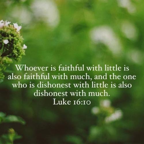 IMG_20230317_003710_462