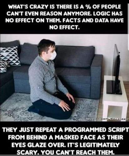 programmed script