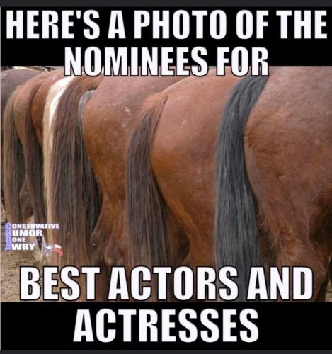 FB_IMG_1678657093094