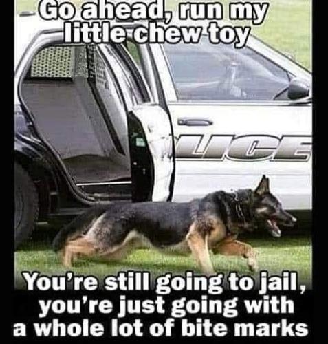 FB_IMG_1679992285628