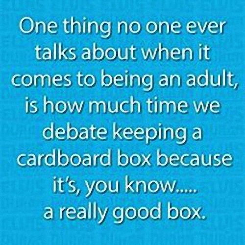 cardboard box