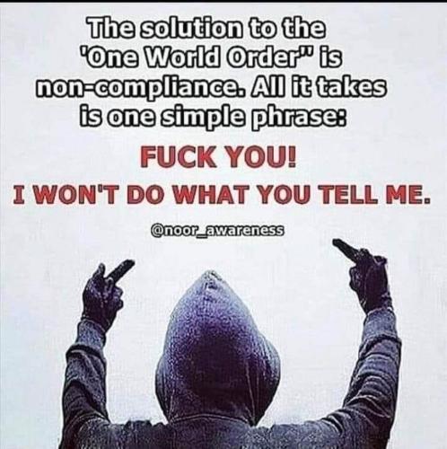 NWO 1