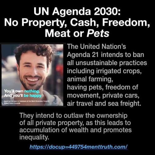 agenda 2030 property cash freedom meat pets cars moving fast bidens america nwo globalist cabal communism